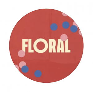 captura de pantalla 2026 01 23 a les 23.49.51